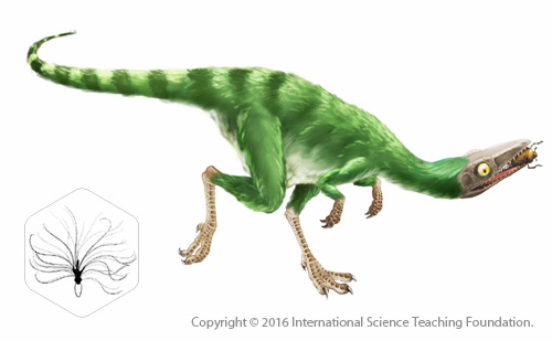 https://science-teaching.org/wp-content/uploads/2015/11/Sinosauropteryx_low.jpg