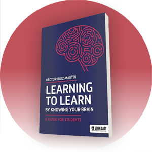 Learning to Learn by Knowing Your Brain